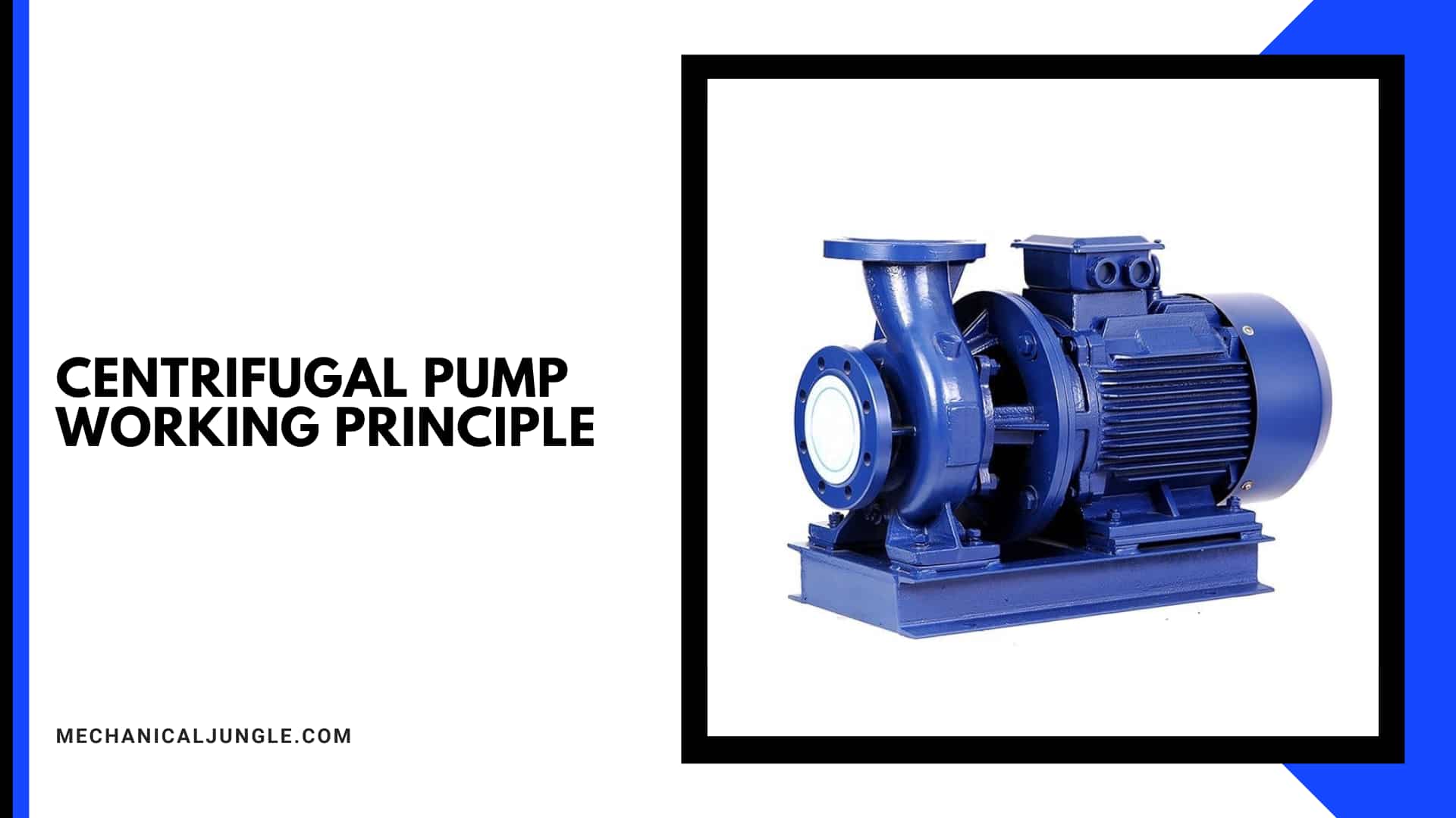 Centrifugal Pump Working Principle