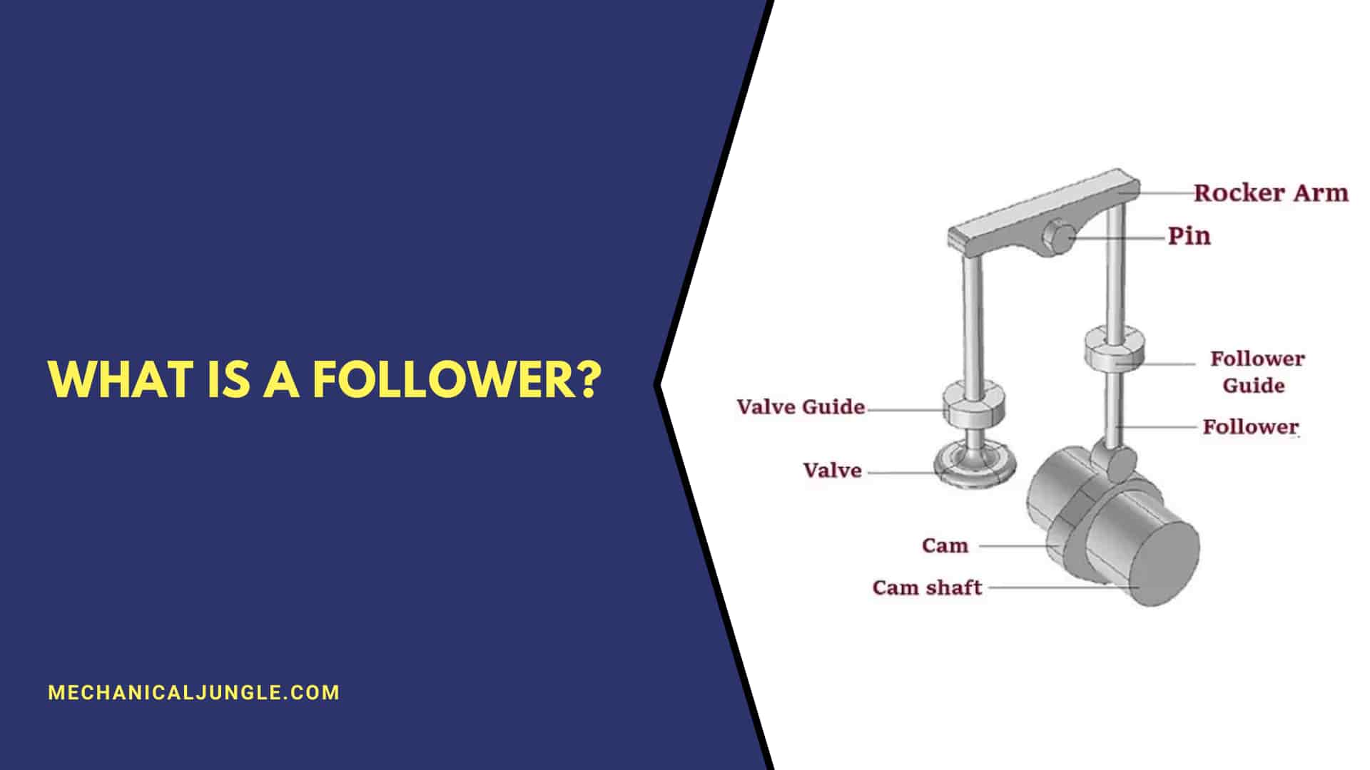 What Is a Follower?