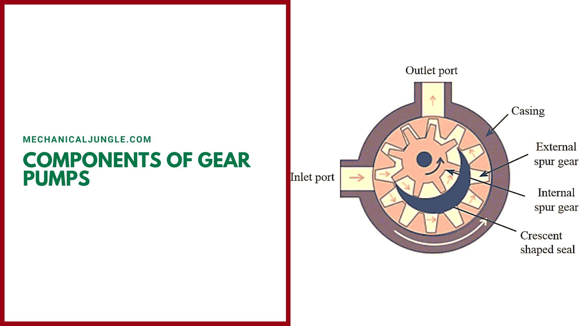 Components of Gear Pumps