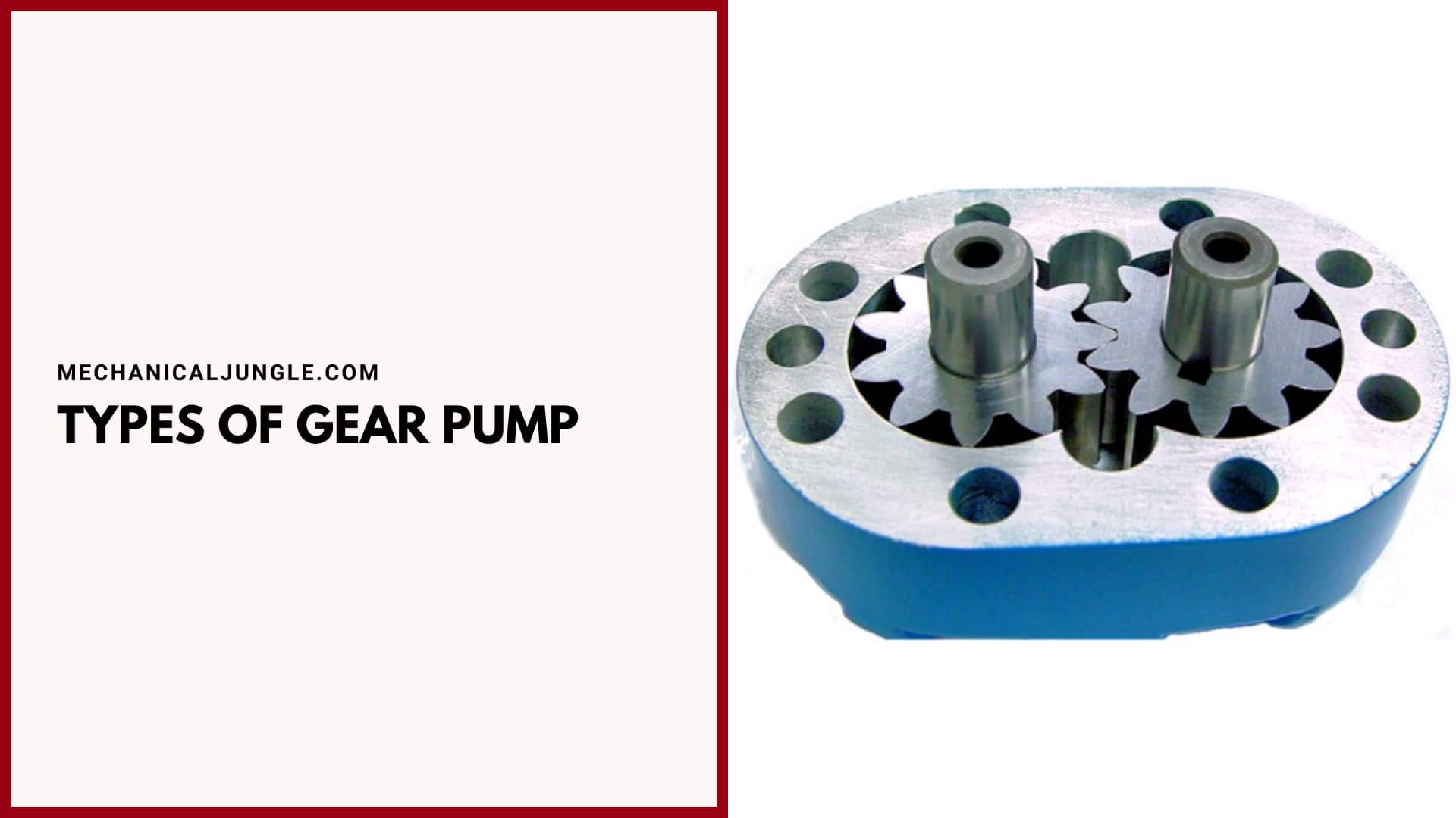Types of Gear Pump