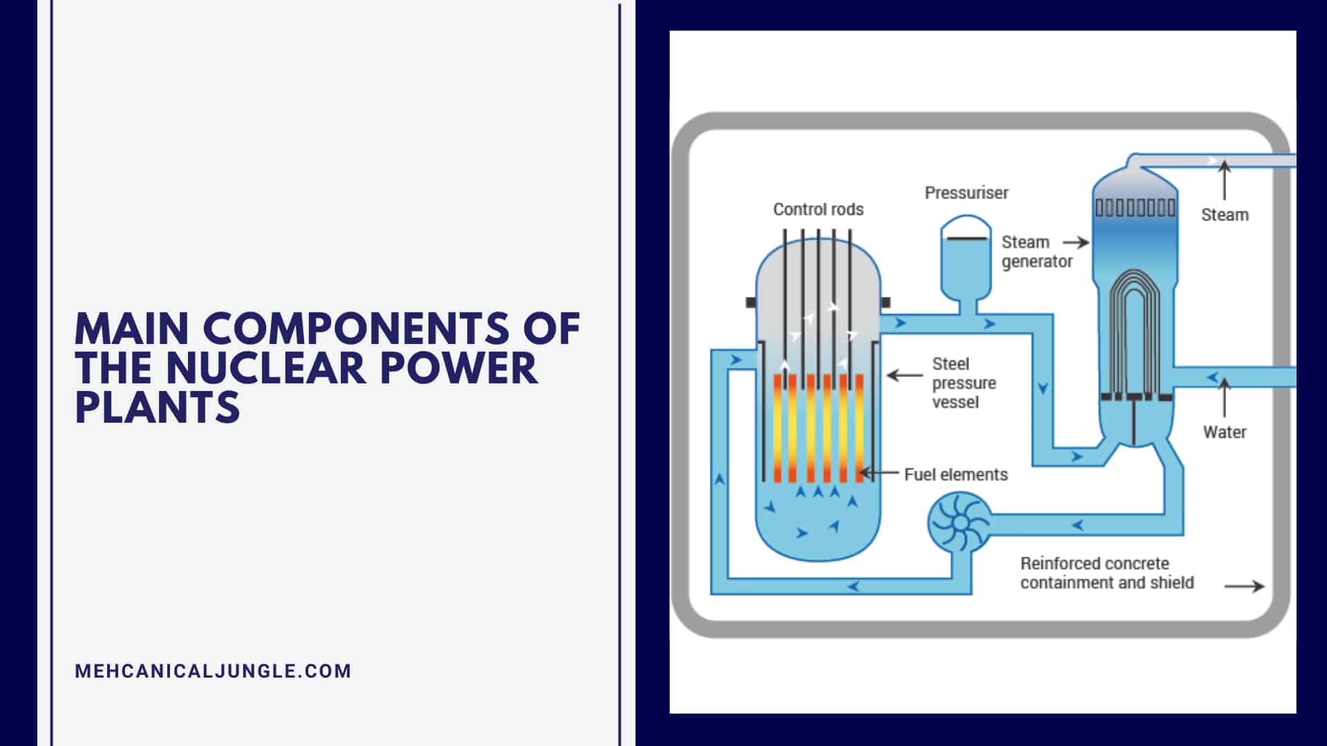Main Components of the Nuclear Power Plants
