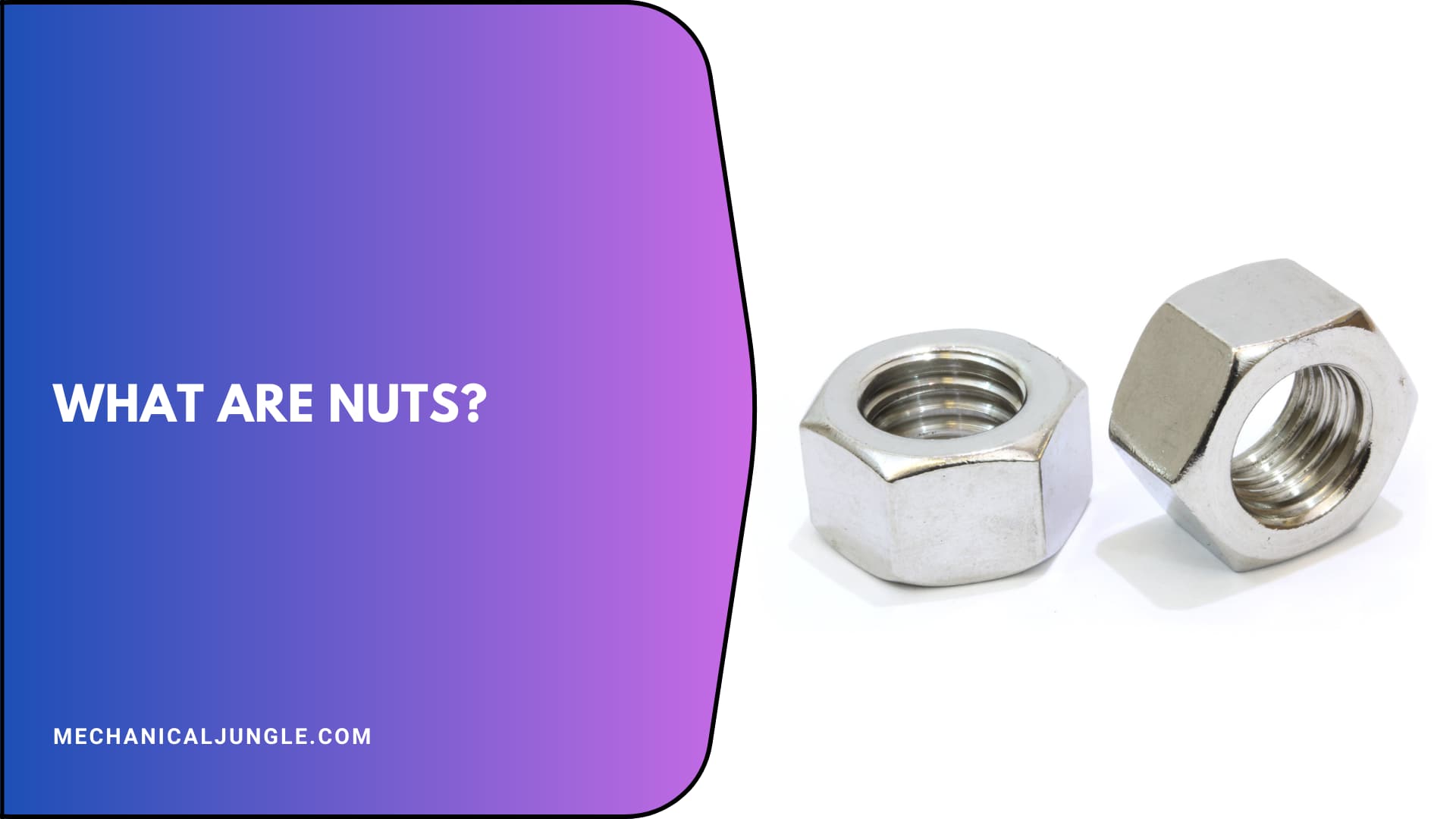 What Are Nuts?