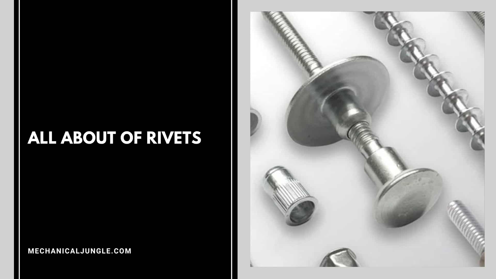 all about of Rivets