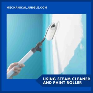 Using Steam Cleaner and Paint Roller