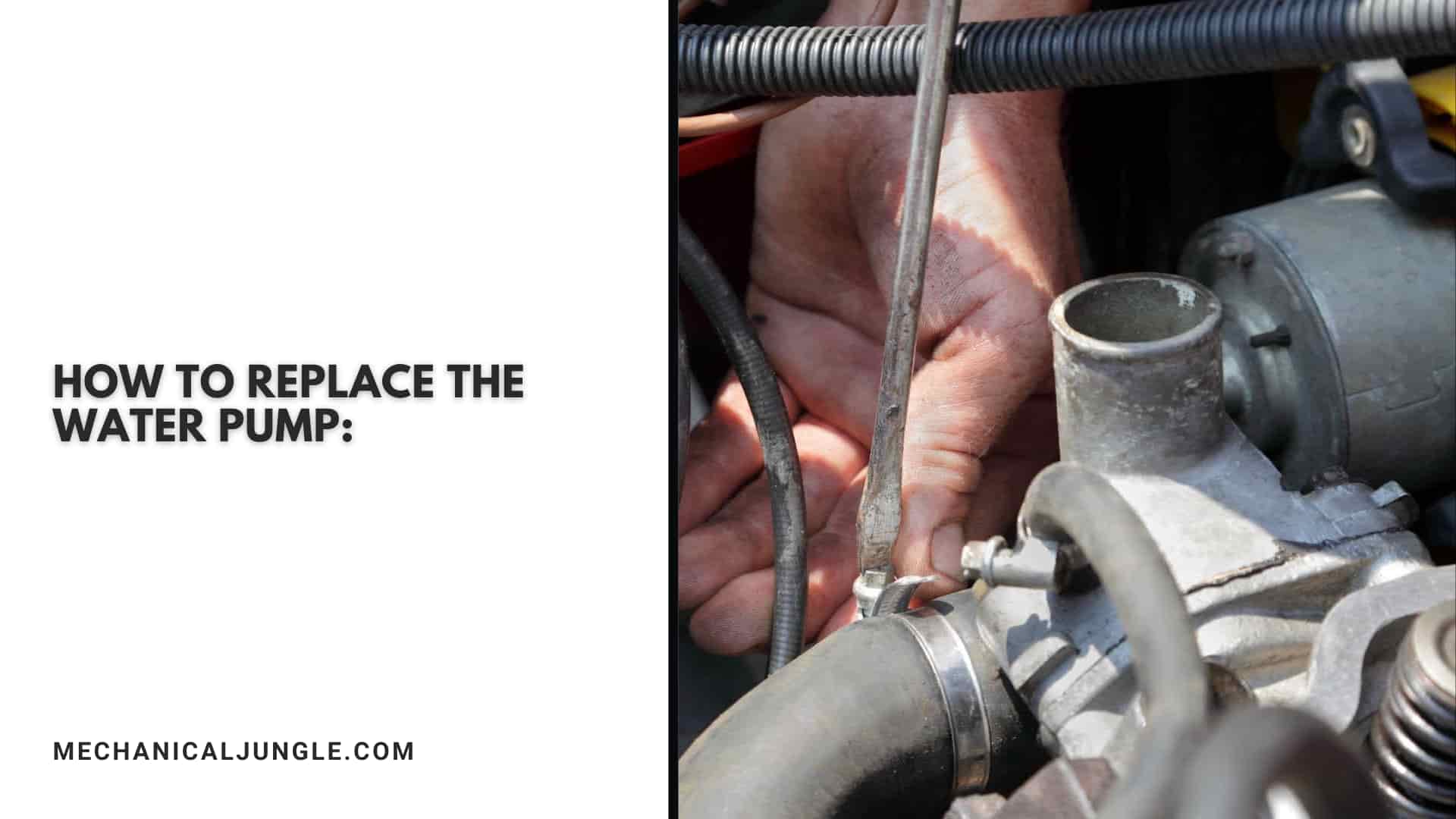 How to Replace the Water Pump: