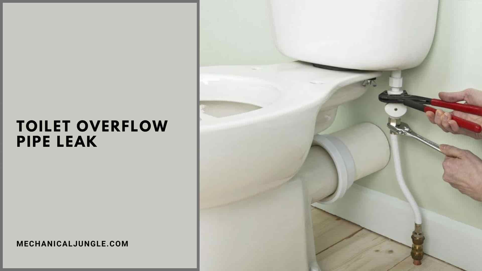 Toilet Overflow Pipe Leak
