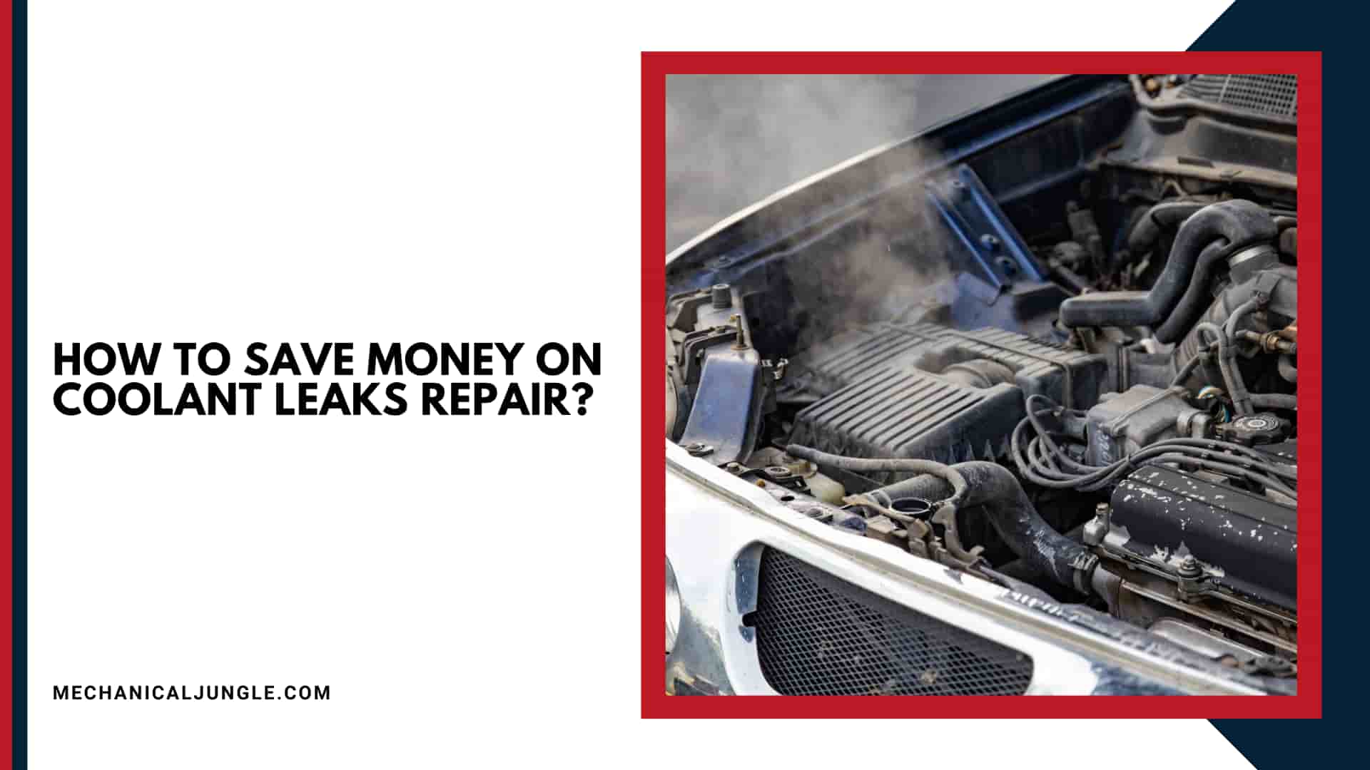 How to Save Money on Coolant Leaks Repair?