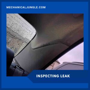 Inspecting Leak