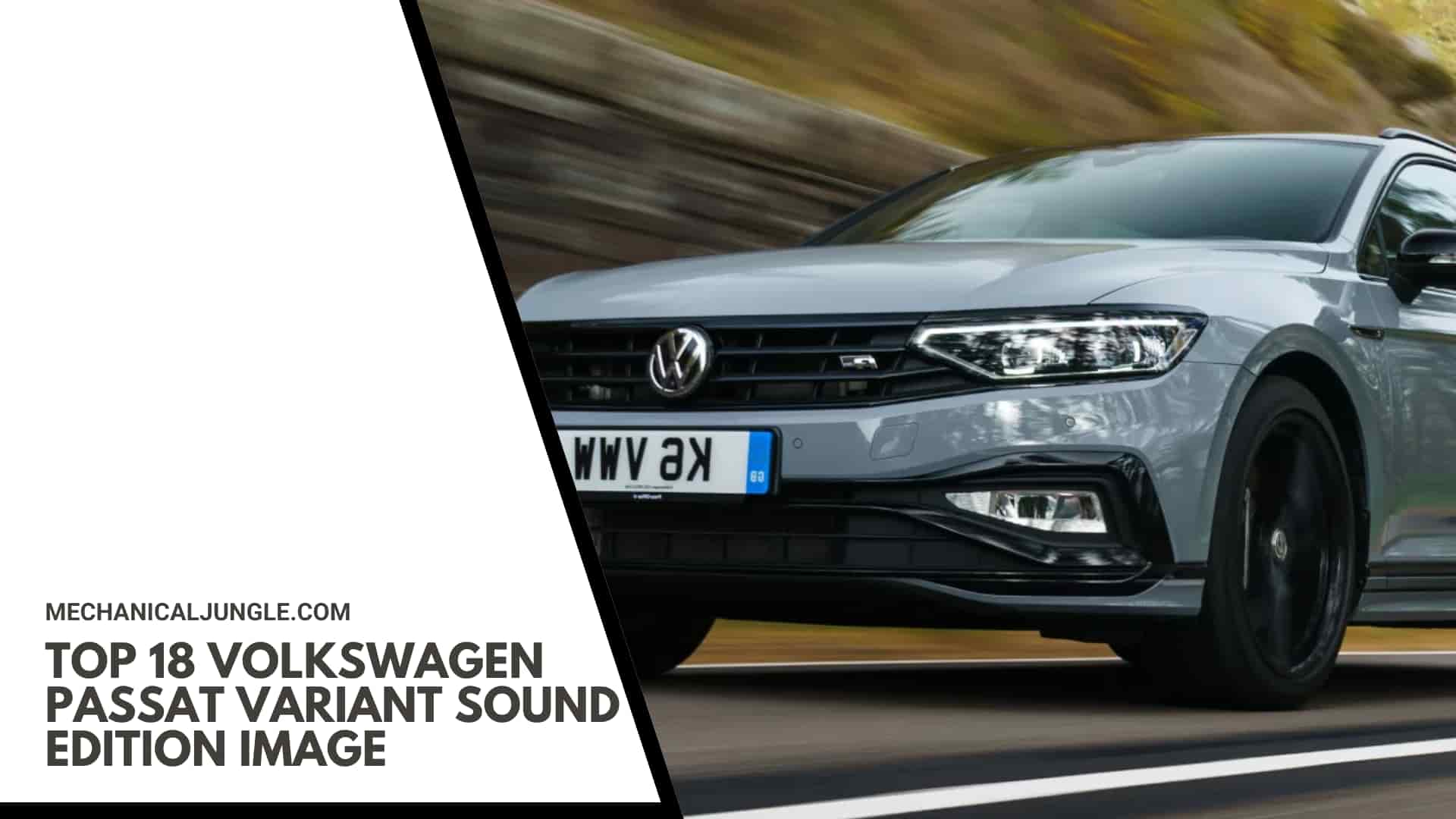 Top 18 Volkswagen Passat Variant Sound Edition Image