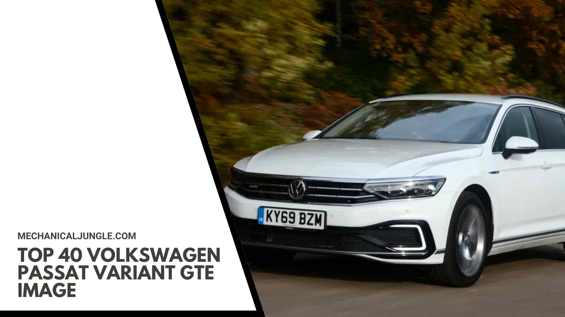 Top 40 Volkswagen Passat Variant GTE Image