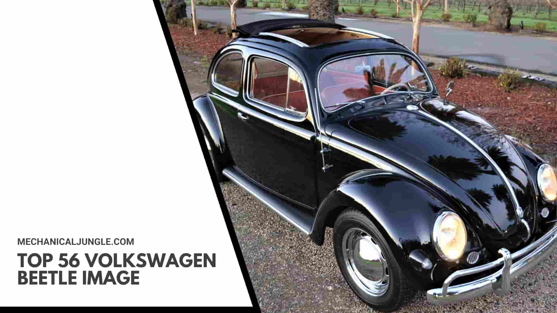 Top 56 Volkswagen Beetle Image