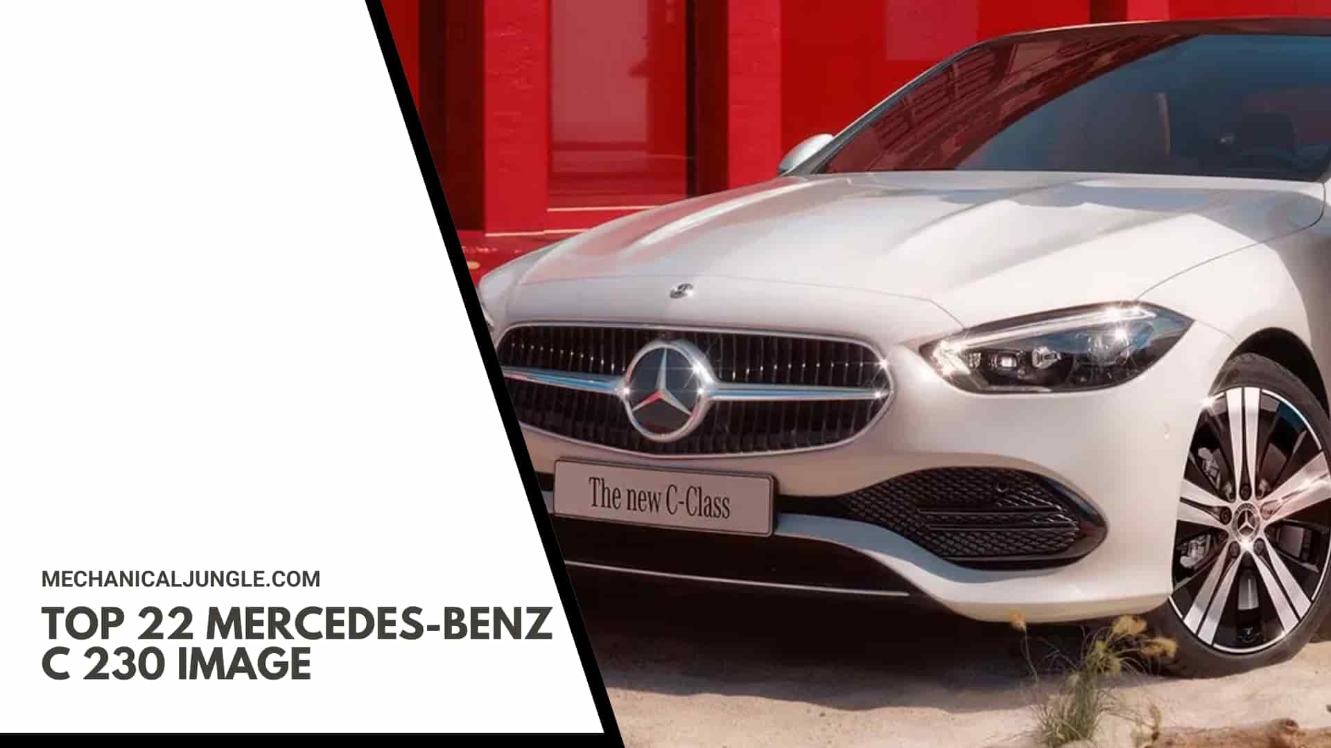 Top 22 Mercedes-Benz C 230 Image