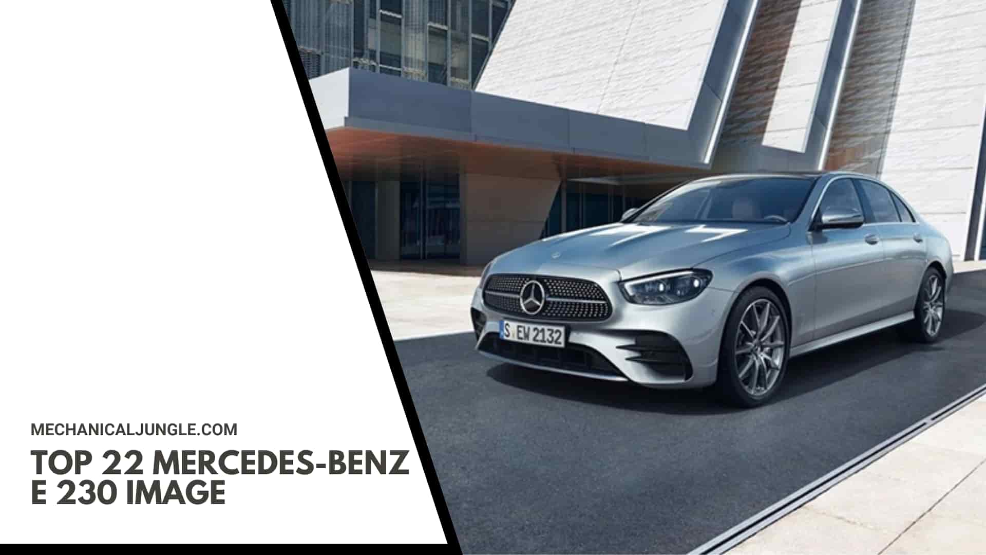 Top 22 Mercedes-Benz E 230 Image