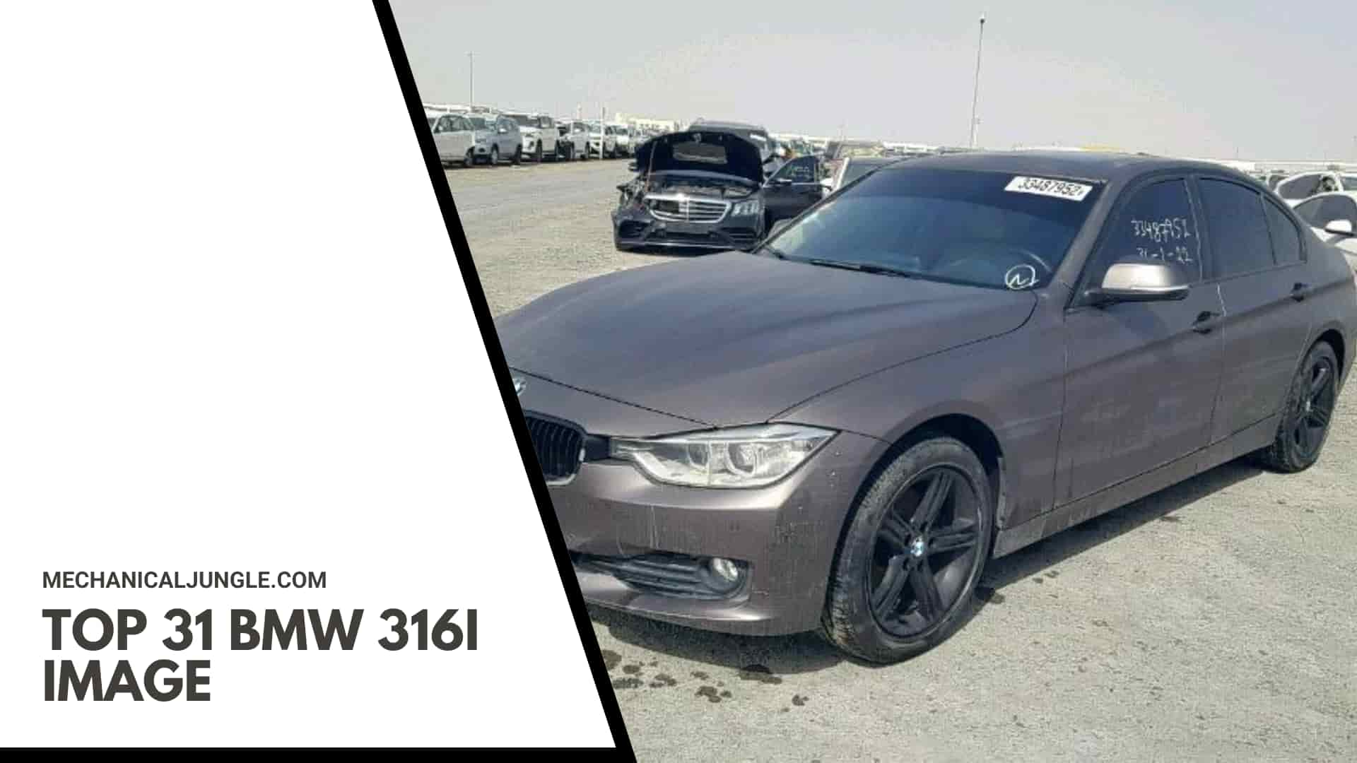 Top 31 BMW 316i Image