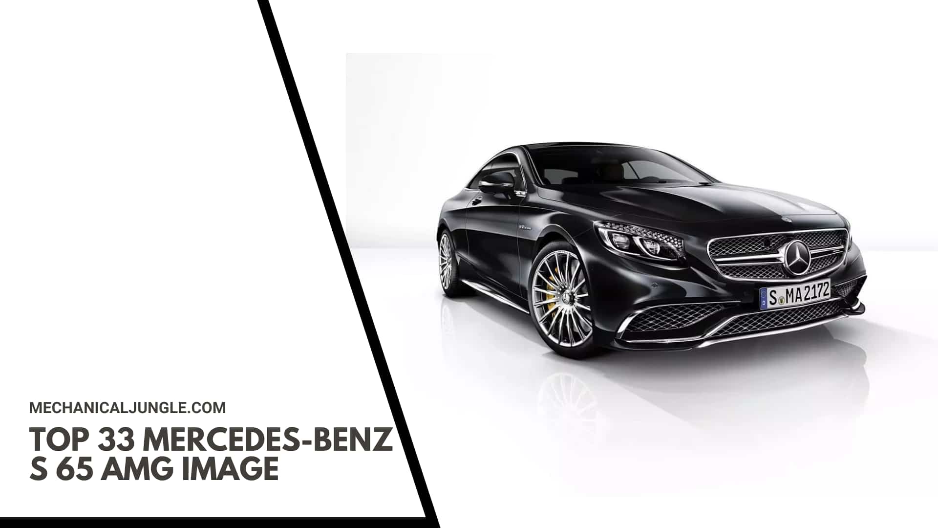 Top 33 Mercedes-Benz S 65 AMG Image