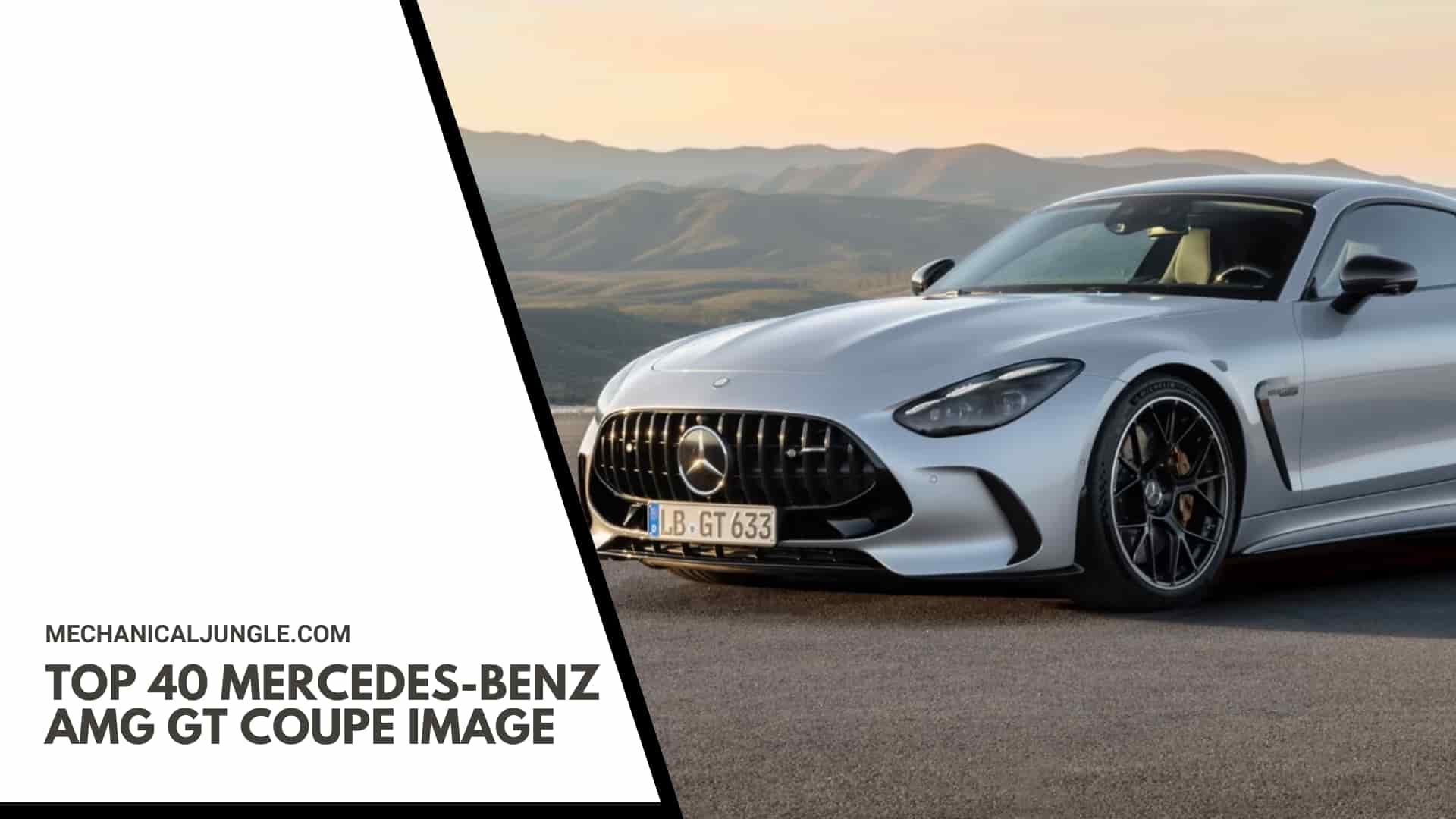 Top 40 Mercedes-Benz AMG GT Coupe Image