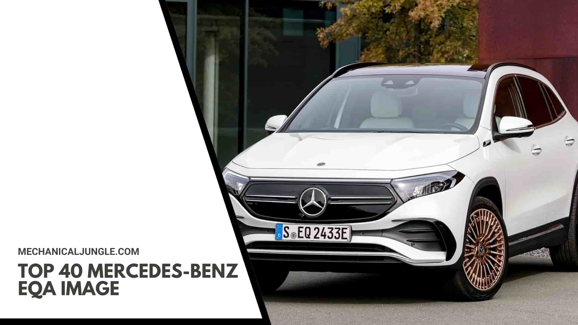 Top 40 Mercedes-Benz EQA Image