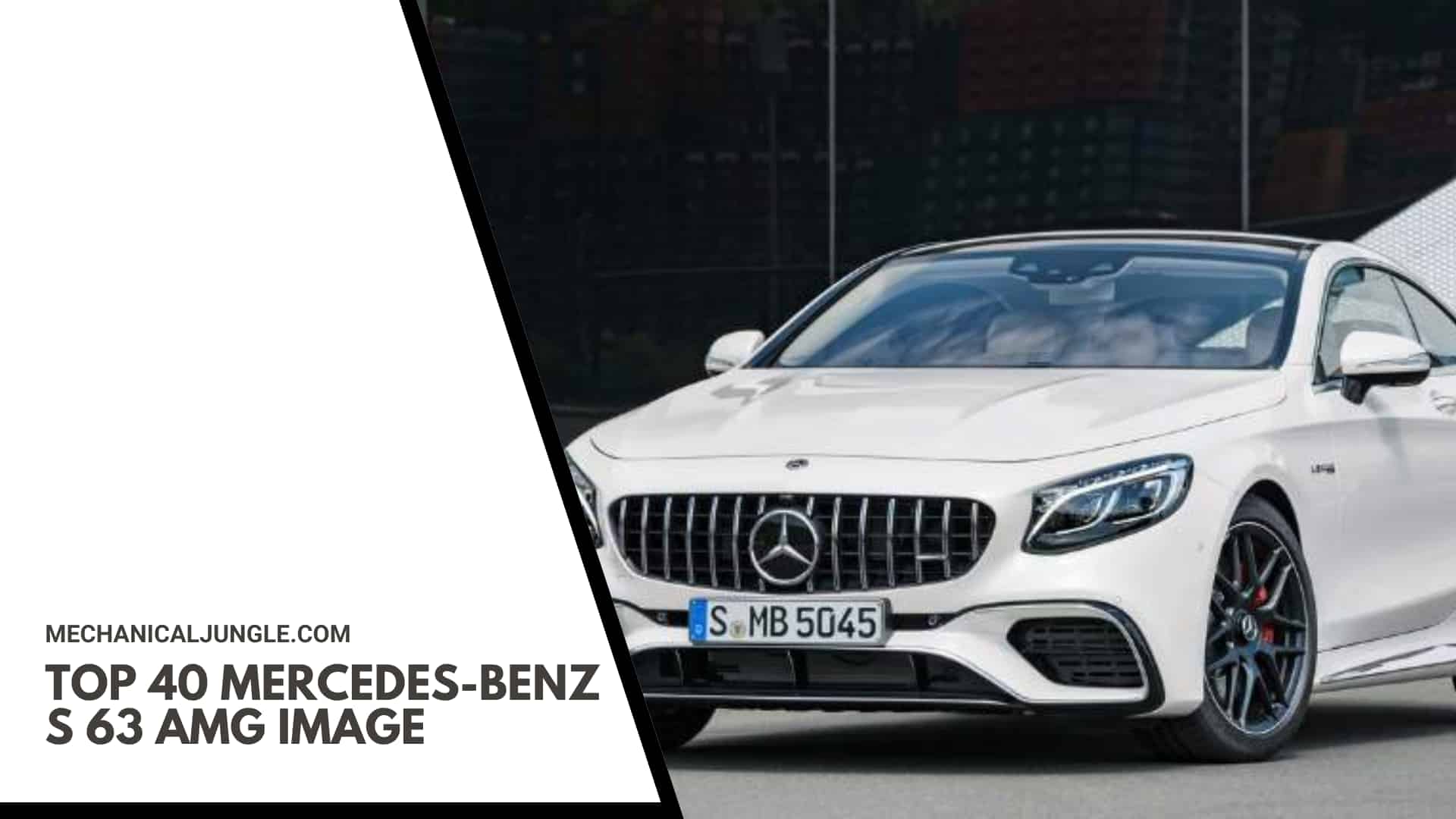 Top 40 Mercedes-Benz S 63 AMG Image