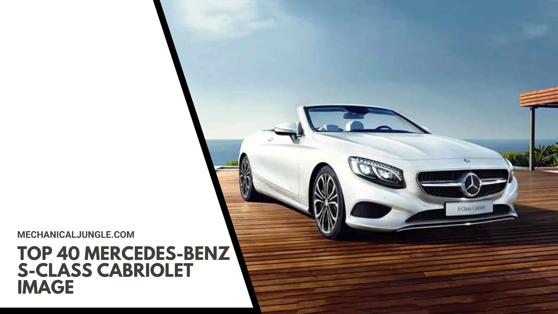 Top 40 Mercedes-Benz S-Class Cabriolet Image