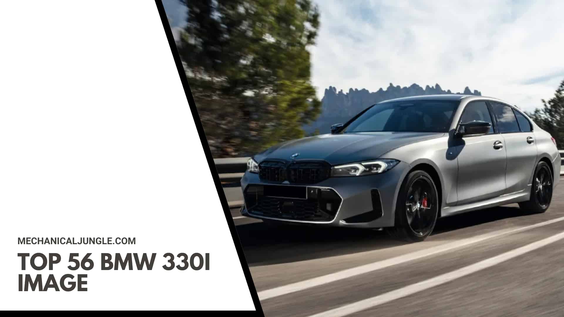 Top 56 BMW 330i Image