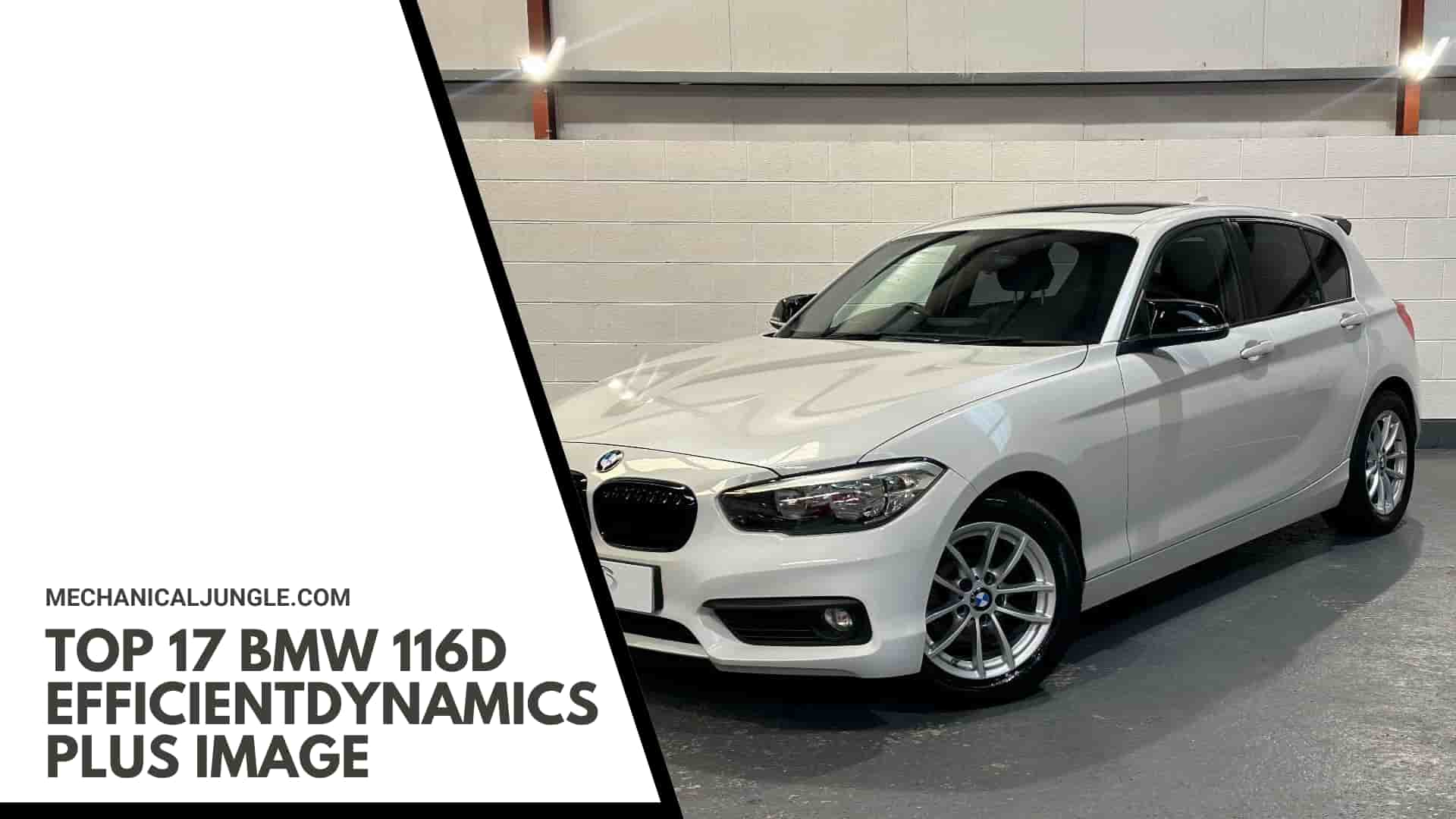 Top 17 BMW 116d EfficientDynamics Plus Image