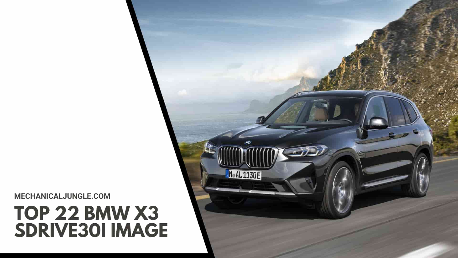 Top 22 BMW X3 sDrive30i Image