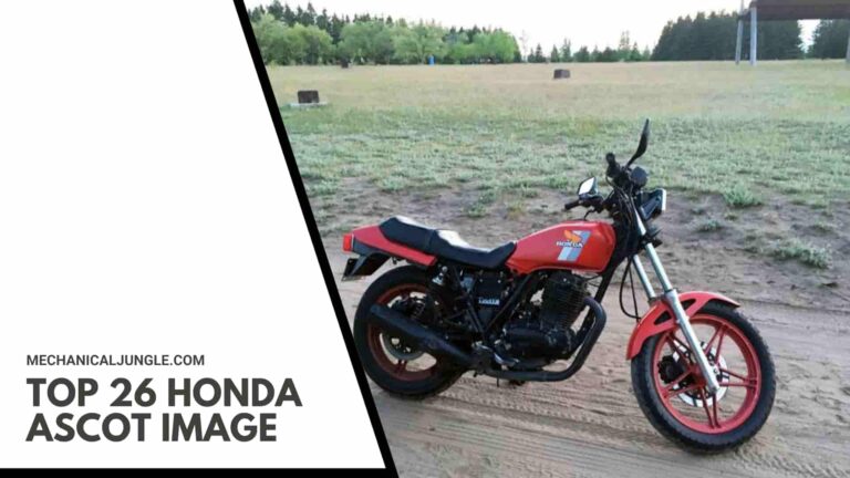 Top 26 Honda Ascot Image