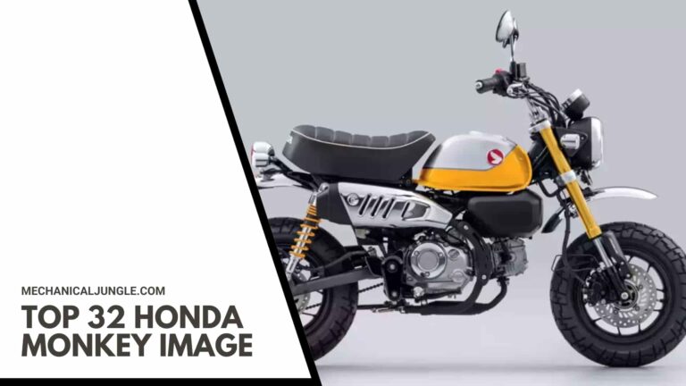 Top 32 Honda Monkey Image