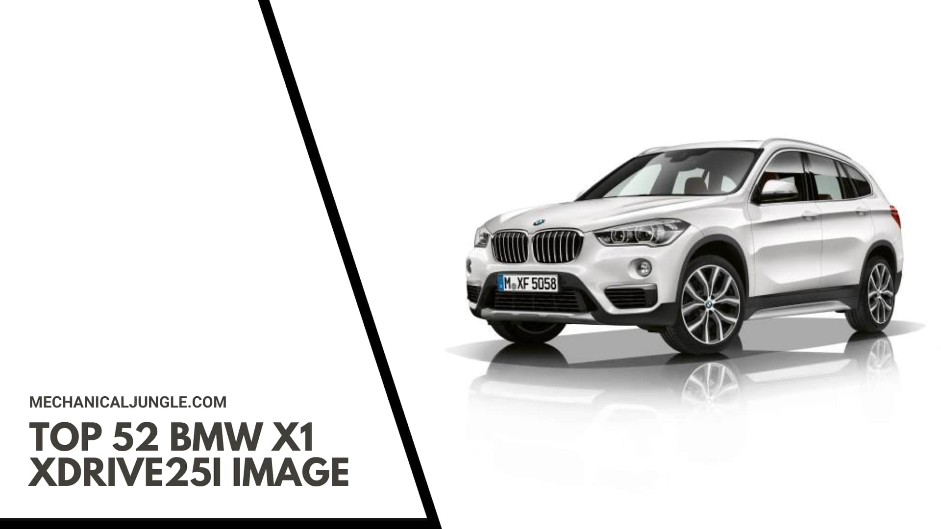 Top 52 BMW X1 xDrive25i Image