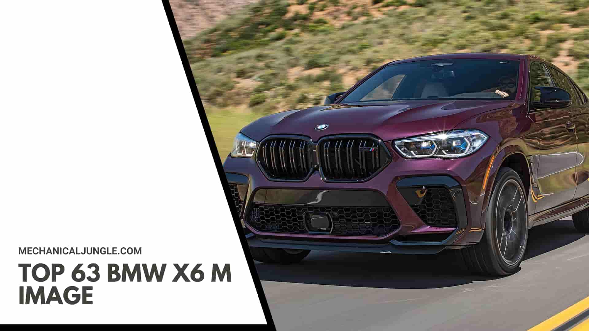 Top 63 BMW X6 M Image
